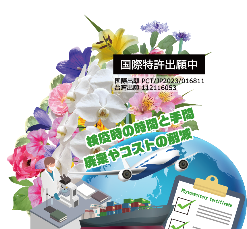 植物のスムーズな輸出入を実現。- PUREGROW - 無機物培土　ピュアグロウ