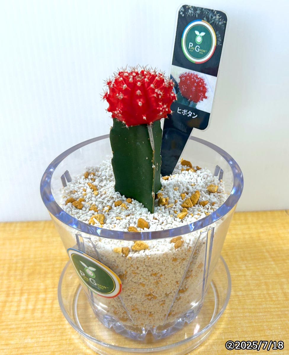 植物のスムーズな輸出入を実現。- PUREGROW - 無機物培土　ピュアグロウ