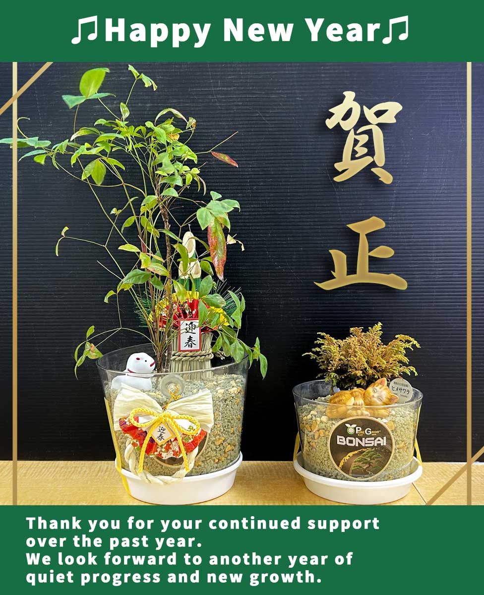 あけましておめでとうございます。